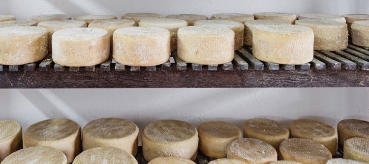 Queso de La Palma, queso palmero, Consejo regulador del queso palmero