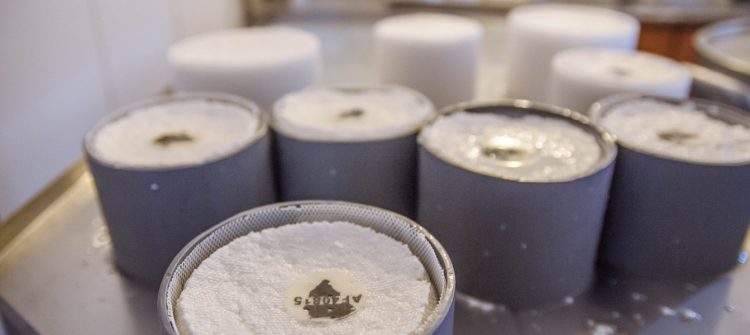 Queso Palmero, queso de cabra de La Palma, islas canarias